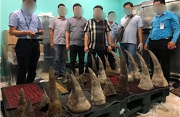 Phát hiện hơn 90kg sừng tê giác tại sân bay quốc tế Tân Sơn Nhất