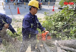 TP Hồ Chí Minh cắt tỉa, đốn hạ cây xanh có nguy cơ gãy, đổ đề phòng mùa mưa