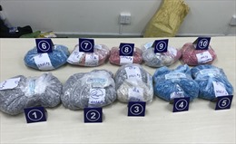 Hải quan TP Hồ Chí Minh phát hiện và thu giữ hơn 30 kg ma túy