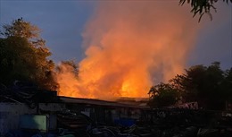 Đang cháy lớn xưởng gỗ ở thành phố Thủ Đức (TP Hồ Chí Minh)
