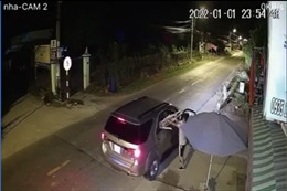 Nhóm đối tượng đi ô tô, dùng súng chích điện để trộm chó ở TP Hồ Chí Minh
