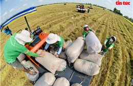 Nông nghiệp Việt Nam giữ vững vai trò trụ đỡ, xuất khẩu đạt gần 70 tỷ USD