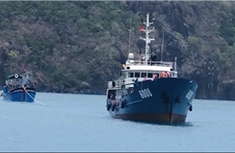Cứu nạn thành công tàu cá của ngư dân Ninh Thuận 