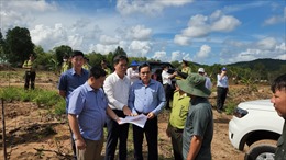 Kiên Giang ra quân xử lý vi phạm về đất đai, lâm nghiệp và xây dựng tại Phú Quốc