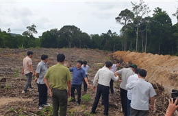 Kiên Giang: Xử lý việc lấn chiếm rừng, khu bảo tồn biển và rác thải tại Phú Quốc