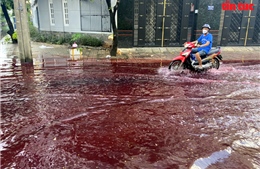 TP Hồ Chí Minh: Chưa xác định được nguồn nước đỏ xuất hiện trên đường sau cơn mưa