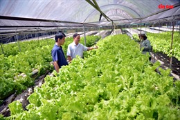 TP Hồ Chí Minh: Đẩy mạnh ứng dụng công nghệ cao vào nông nghiệp