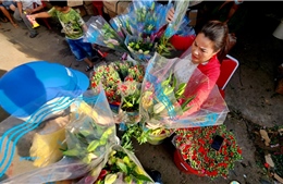TP Hồ Chí Minh: Sức mua nhiều ngành hàng Tết tăng cao