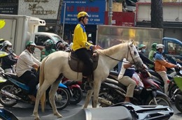 TP Hồ Chí Minh: CSGT xử phạt người đàn ông cưỡi ngựa đi vào làn đường xe cơ giới
