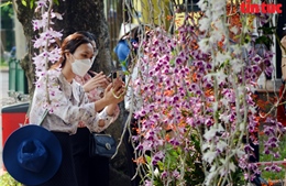 Khai mạc Festival Hoa Lan TP Hồ Chí Minh lần 2 năm 2023