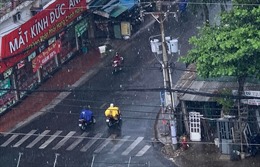 TP Hồ Chí Minh: Cơn &#39;mưa vàng&#39; giải nhiệt sau những ngày nắng rát mặt