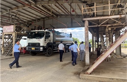 TP Hồ Chí Minh: Hơn 10.000 lít xăng RON 95-III không đạt chất lượng buộc tái chế