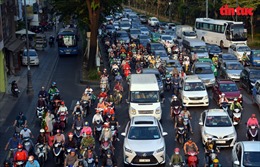 TP Hồ Chí Minh cấm xe container lưu thông trên 8 tuyến đường