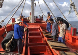 Cảnh sát biển bắt giữ hai tàu cá vận chuyển 260.000 lít dầu DO 