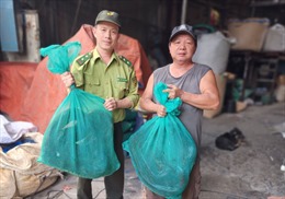 Chi cục Kiểm lâm TP Hồ Chí Minh tiếp nhận 2 con trăn đất và 1 cá thể khỉ