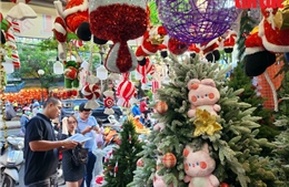 TP Hồ Chí Minh: Nhộn nhịp phố bán đồ trang trí Giáng sinh