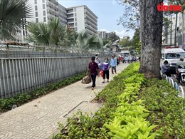 TP Hồ Chí Minh: ‘Biến’ vỉa hè bị chiếm dụng thành mảng xanh, lối đi bộ