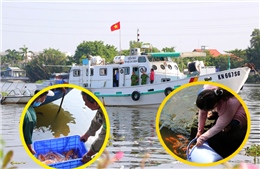 TP Hồ Chí Minh: Huy động lực lượng ngăn chặn tình trạng chích điện thả cá phóng sinh 