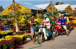 Nhộn nhịp chợ hoa Xuân nơi vùng biên ngày cận Tết