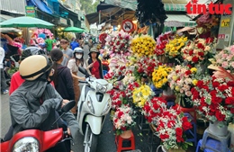 Chợ hoa lớn nhất TP Hồ Chí Minh nhộn nhịp trước ngày 8/3
