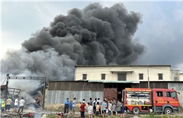 TP Hồ Chí Minh: Cháy lớn hai nhà xưởng sản xuất đệm và cao su
