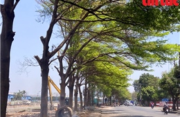 TP Hồ Chí Minh: Dọn sạch con đường ngập hàng tấn rác sau phản ánh của Báo Tin tức