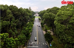 TP Hồ Chí Minh: Những con đường rợp bóng cây xanh xoa dịu nắng nóng