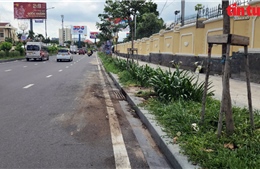 TP Hồ Chí Minh: Nhiều điểm rác thải được dọn sạch sau phản ánh của Báo Tin tức và Dân tộc