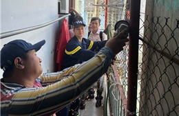 TP Hồ Chí Minh: Ra quân tuyên truyền, vận động tháo dỡ &#39;chuồng cọp&#39;