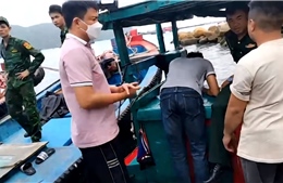TP Hồ Chí Minh: Phát hiện tàu cá tàng trữ chất độc Xyanua