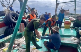Bắt giữ đối tượng bị truy nã về tội giết người lẩn trốn trên tàu cá ở Côn Đảo