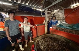 TP Hồ Chí Minh: Triệt phá đường dây ngâm thịt ốc bươu bằng ‘thủy tinh lỏng’