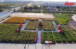 Người dân, du khách nô nức check-in lễ hội hoa Tết '4 miền' tại TP Hồ Chí Minh