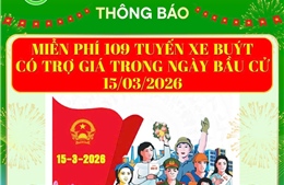 TP Hồ Chí Minh: Miễn phí vé xe buýt và metro số 1 trong ngày bầu cử 15/3