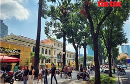 TP Hồ Chí Minh: Nắng gắt bao trùm, những con đường xanh trở thành nơi ‘giải nhiệt’