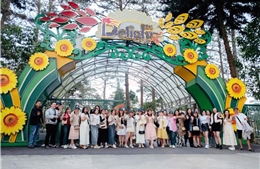 Delight Park Đà Lạt 'thắp sáng' du lịch đêm phố núi