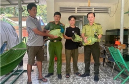 Công an xã Đông Thạnh tiếp nhận 9 cá thể công do dân giao nộp