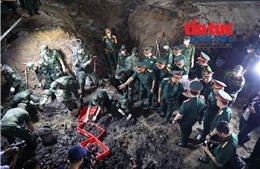 Đã quy tập 101 hài cốt liệt sĩ và 5 bộ tập thể tại Công viên Lê Thị Riêng