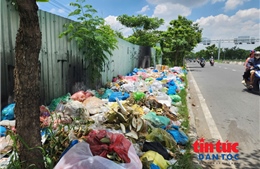 Rác tràn đường vì nạn đổ trộm tại TP Hồ Chí Minh