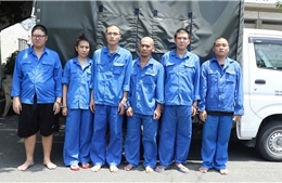 TP Hồ Chí Minh: Lộ thủ đoạn thuê người đứng tên vay mua trả góp ô tô 