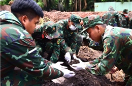 TP Hồ Chí Minh: Đã quy tập 592 bộ hài cốt liệt sĩ tại Công viên Lê Thị Riêng