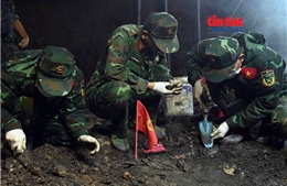 TP Hồ Chí Minh: Quy tập 616 bộ hài cốt liệt sĩ tại Công viên Lê Thị Riêng