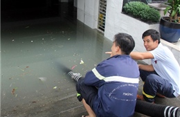TP Hồ Chí Minh: Nhân viên nghỉ làm để dọn dẹp sau bão số 9