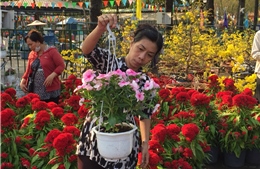 Hoa, cây cảnh giảm giá đến 50% chiều 30 Tết