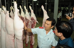 TP Hồ Chí Minh: Doanh nghiệp đảm bảo nguồn cung nhưng không cam kết giá thịt lợn