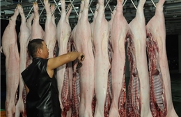 Bình ổn giá, đảm bảo nguồn cung thịt lợn tại khu vực phía Nam