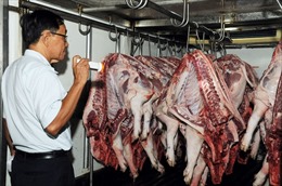 Giá thịt lợn tại các tỉnh phía Nam đang dần bình ổn những ngày gần Tết Nguyên đán