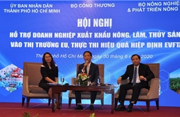 Những lưu ý cần biết khi doanh nghiệp thâm nhập thị trường EU