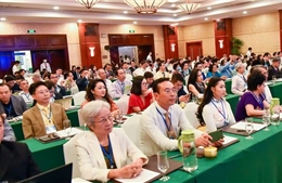 Phát huy sức mạnh kiều bào trong phát triển kinh tế Việt Nam
