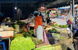 TP Hồ Chí Minh: Giá rau xanh giảm mạnh nhưng vẫn ở mức cao
